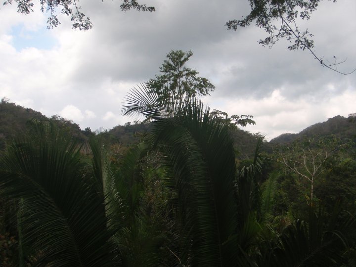 Scott Avery's album, Belize April 2010