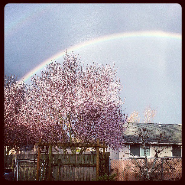 Debbie Muhlestein's album, ‎Instagram‎ Photos