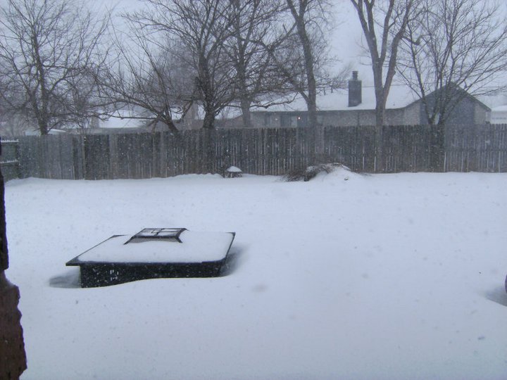 Todd Samuelson's album, Another album of blizzard photos