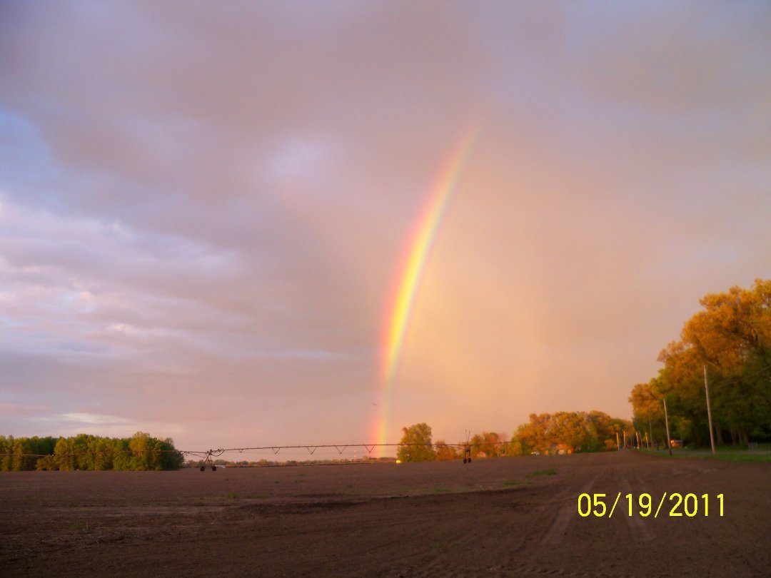 Ellen Curtis' album, What a day for Rainbows ! =p