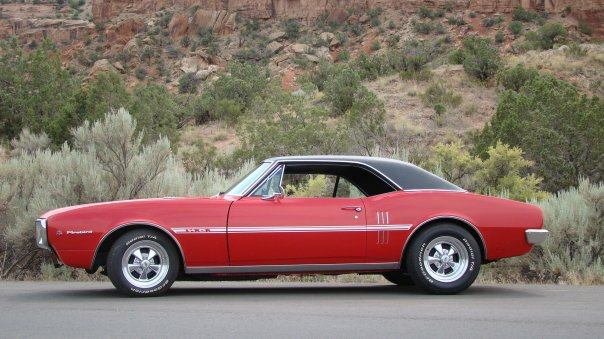 Patrick Bond's album, My Firebird