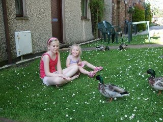Peggy Helps' album, recent photo`s