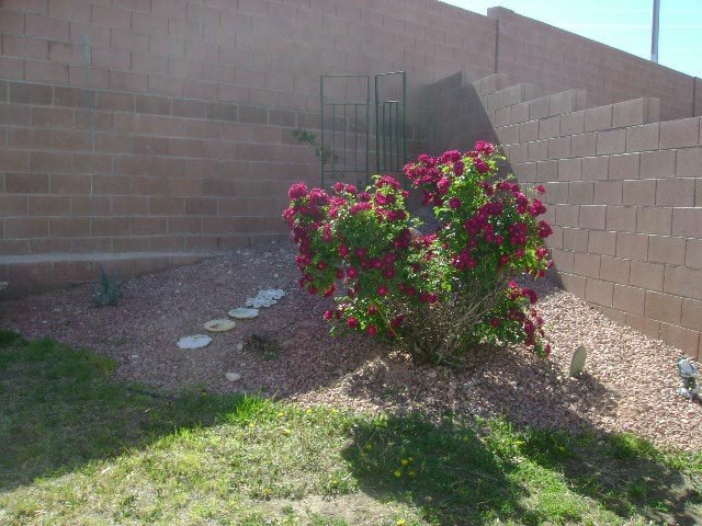 Beverly Lumm's album, Timeline Photos