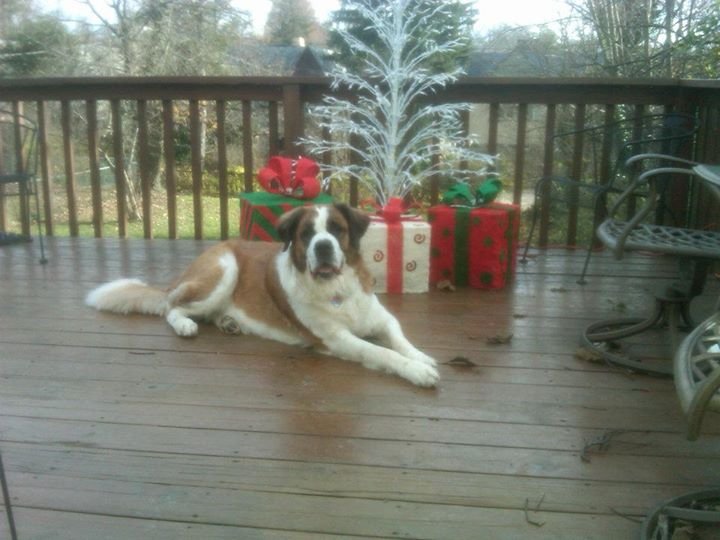 Gillian Bigham's album, December 1, 2011