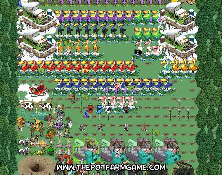 crystal sutton's album, Pot Farm Photos