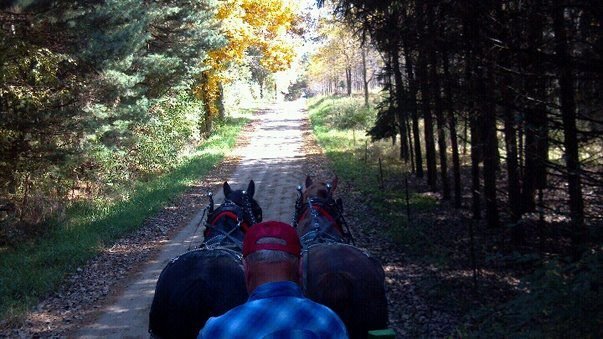 Stacey Edman's album, Mobile Uploads