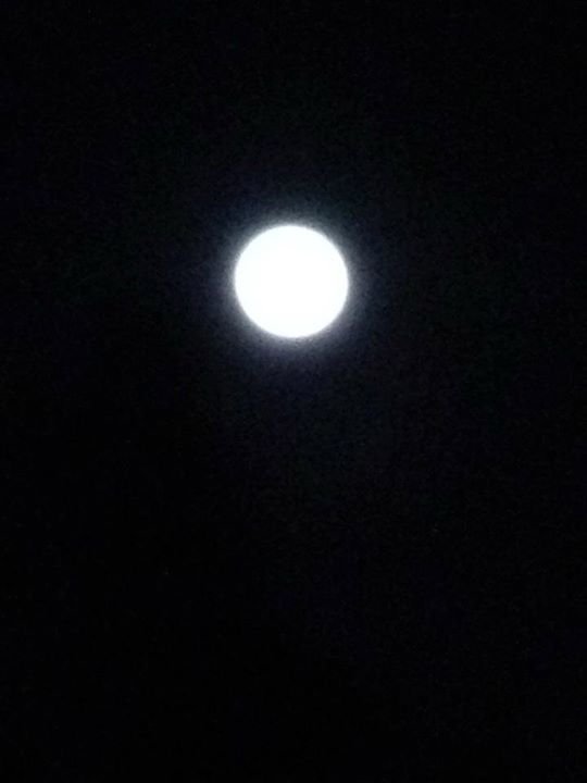 Dani Roach's album, Cover Photos
