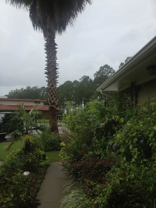 Carol Cook's album, Mobile Uploads