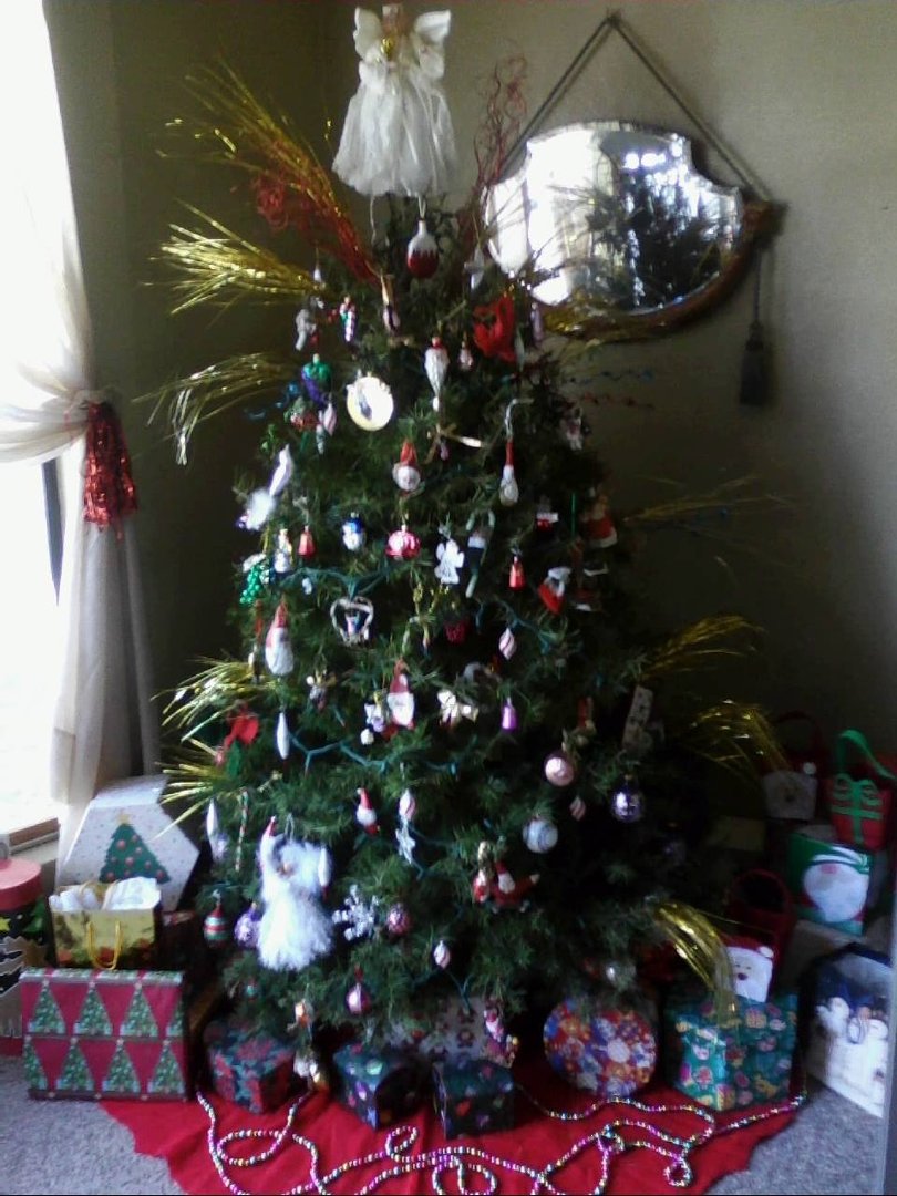 Sandy Sommers' album, Timeline Photos