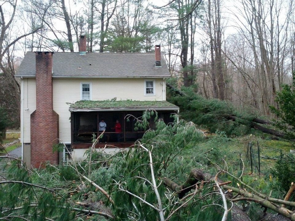 David Albin's album, Damage to Mom's house from Sandy