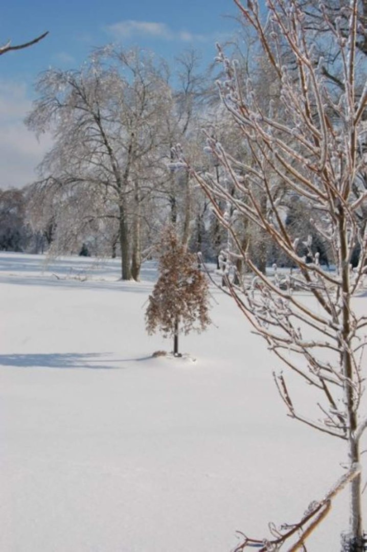 Mike Prather's album, Kentucky Ice Storm 2009