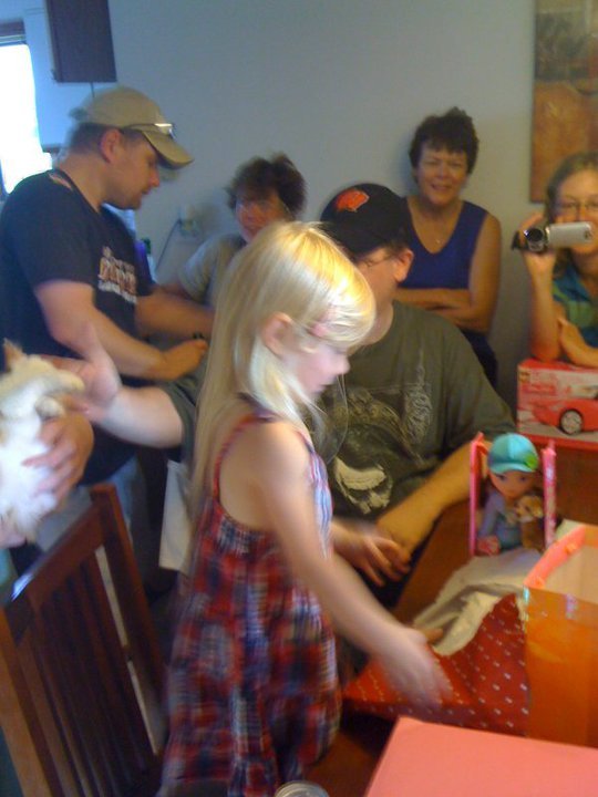 Steve Braune's album, Danielles 4th Birthday