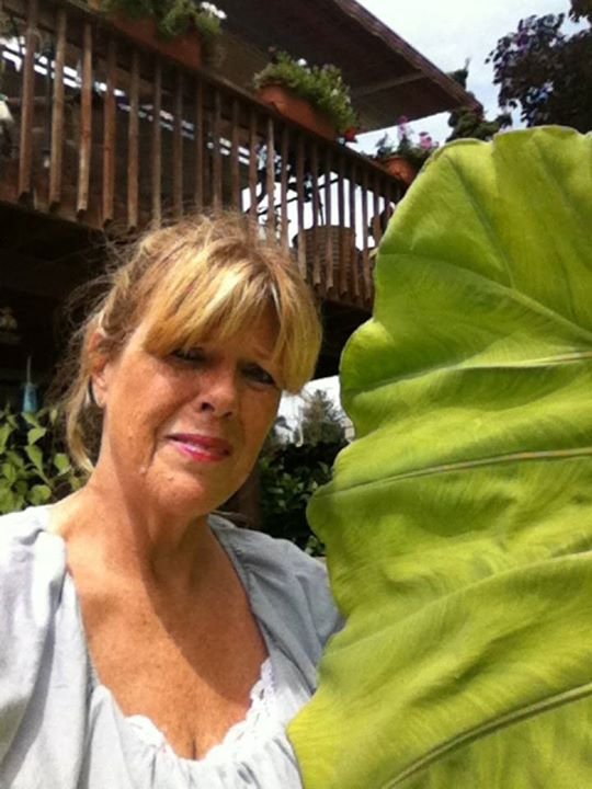 Diane Fody's album, Mobile Uploads