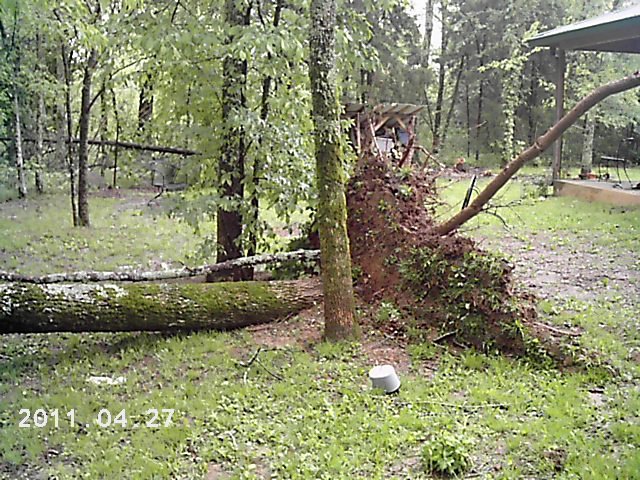 Danny Davis' album, Timeline Photos