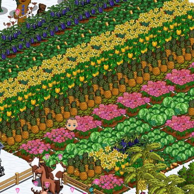 Eric Capps' album, FarmVille Photos