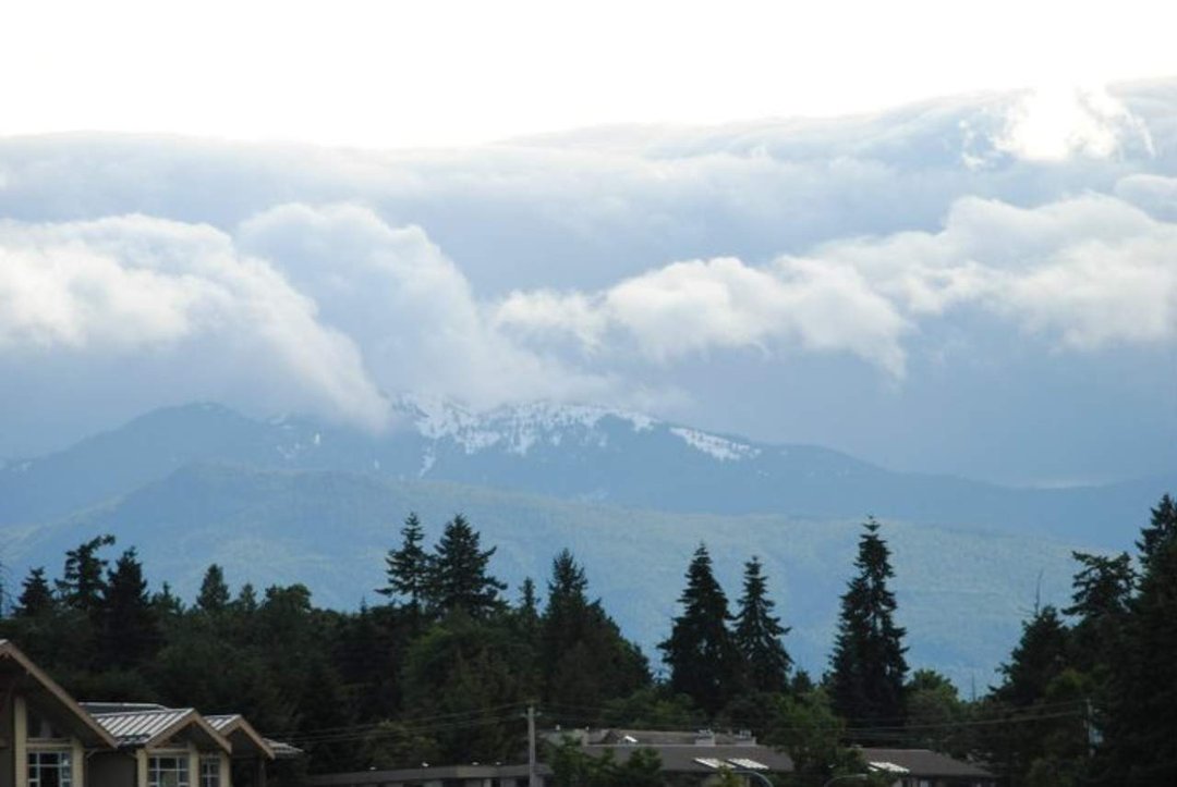 Rick Rozon's album, Parksville 2011