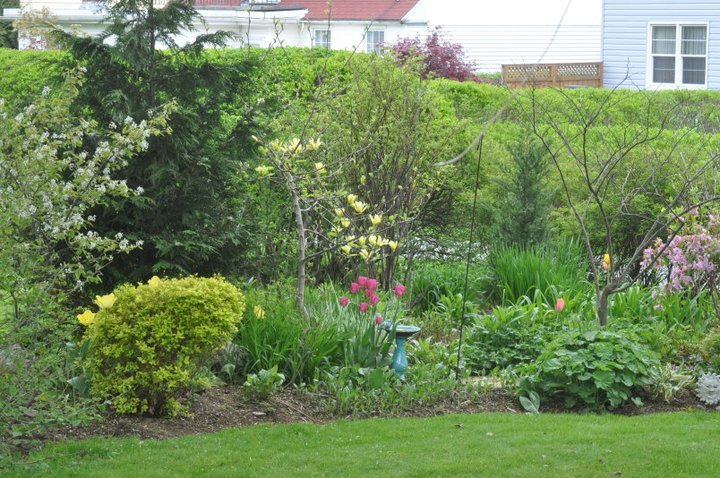 John Mahtab's album, Garden June, 2011