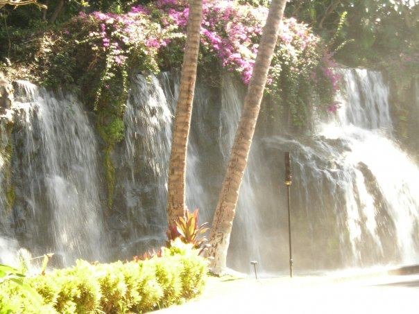 Gloria Picking's album, Maui, Hawaii