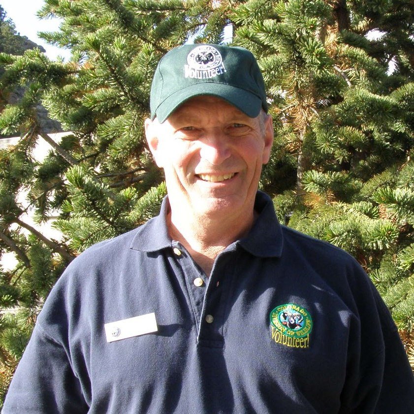 David Ullrich's album, Profile Pictures