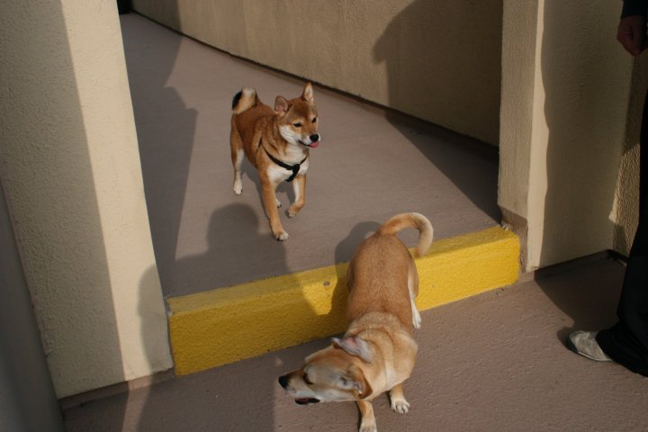 Dan Arriola's album, dan's pics