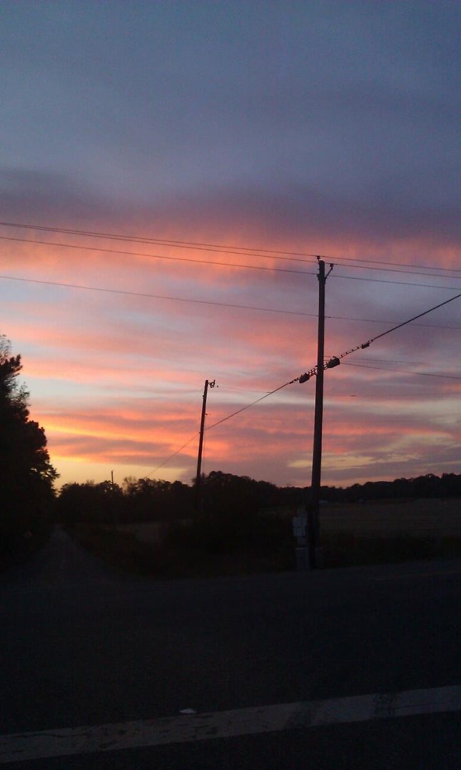 Vicki Anderson's album, Mobile Uploads
