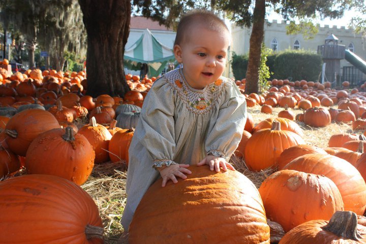 Davis Collins' album, Collins at the Pumpkin Patch