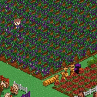 Beth Wild's album, FarmVille Photos