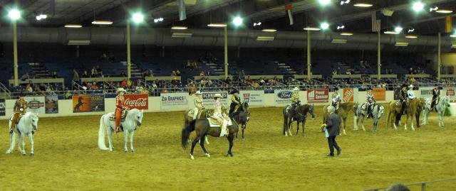 Janice Andersen's album, Arabian Horse Show 2013