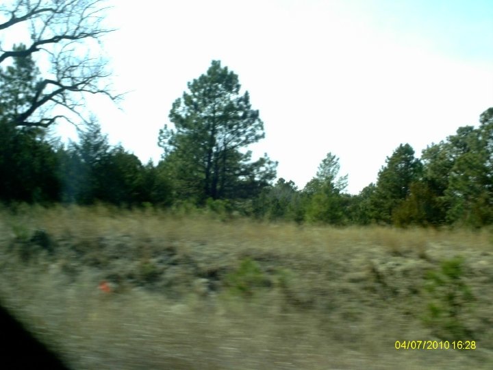 Douglas Heller's album, SpringBreak 2010 - Day 3