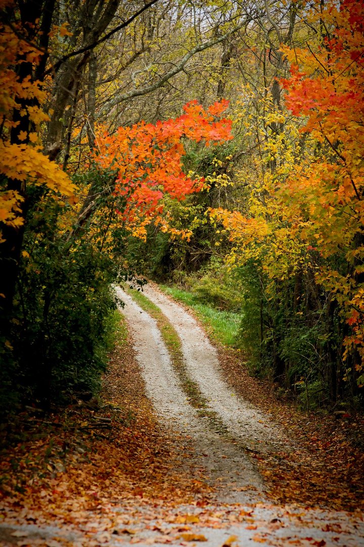 Dave Abner's album, Untitled Album
