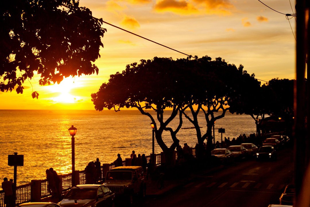 Tracy Gebhardt's album, Cover Photos