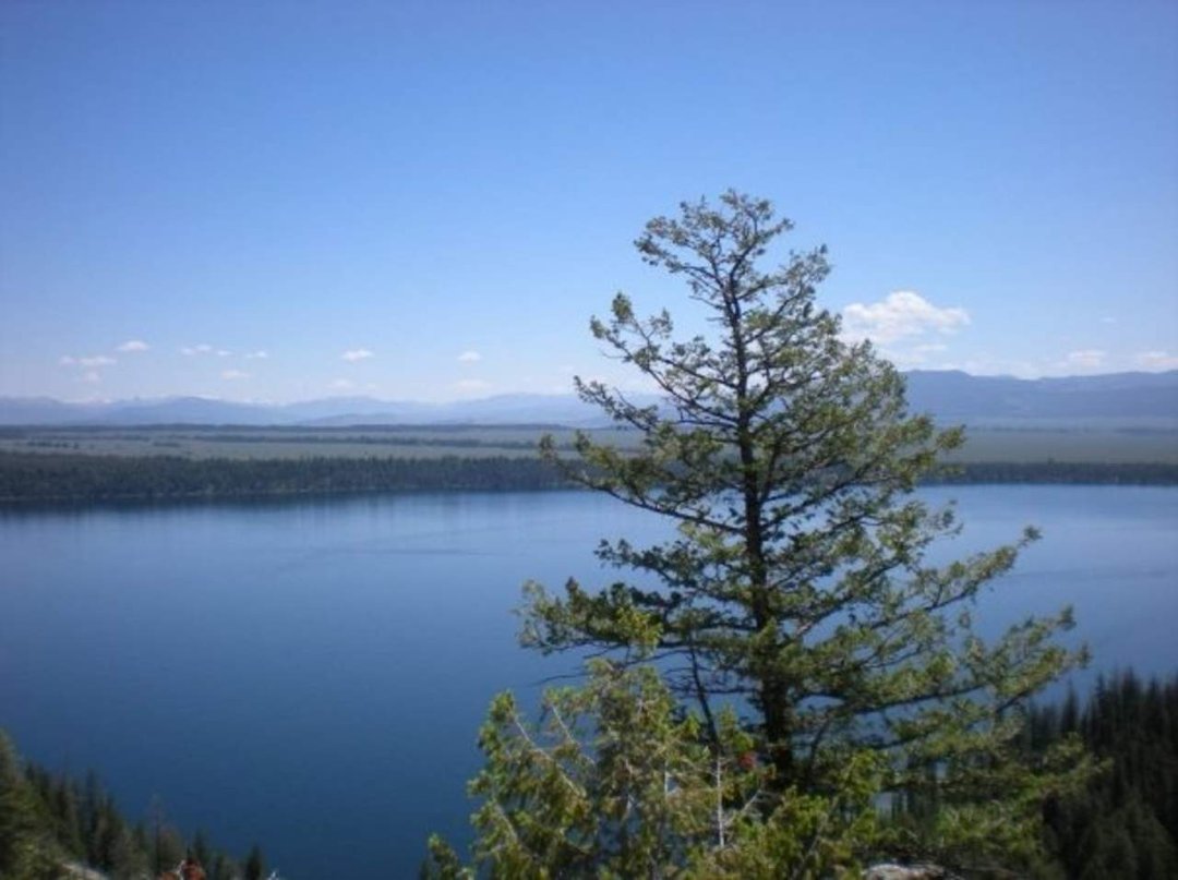 Lynden Kellis' album, Tetons / Yellowstone 2009