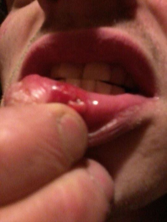 Daniel Thompson's album, Mobile Uploads