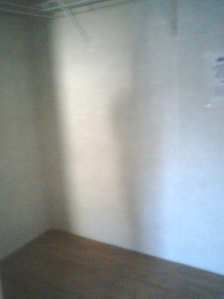 Vicky Oney's album, my new houes
