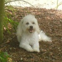 Debbie Anderson's album, Profile Pictures