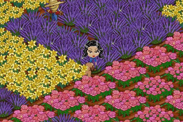 Amy Cooper-davis' album, FarmVille Photos