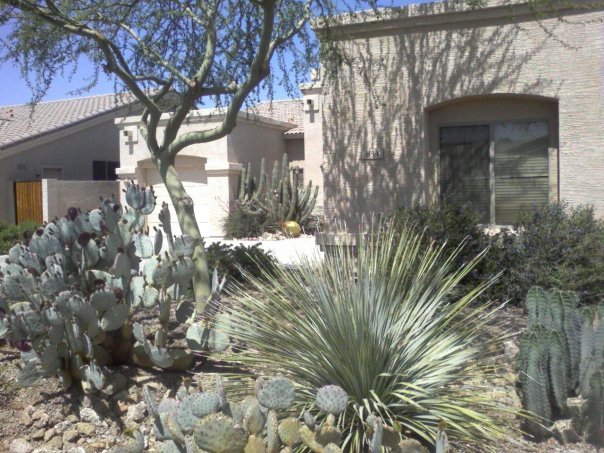 Greg Morris' album, Desert Fauna