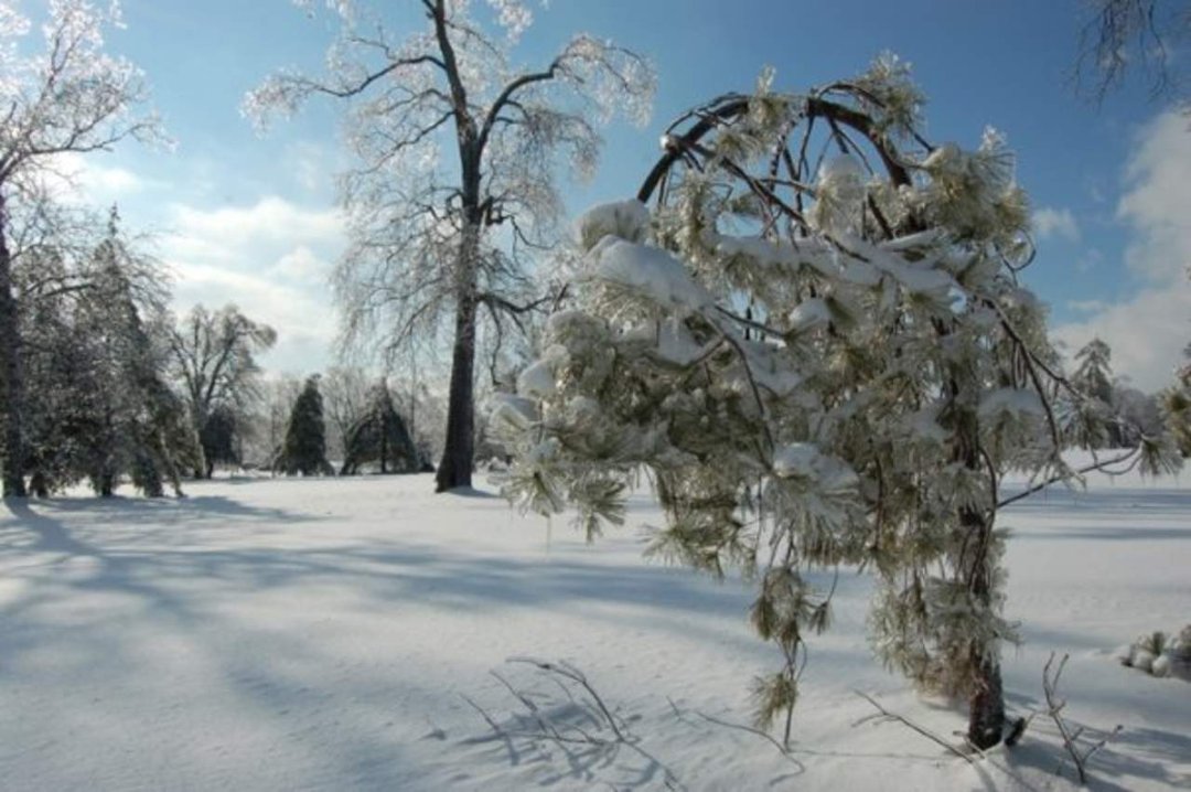 Mike Prather's album, Kentucky Ice Storm 2009