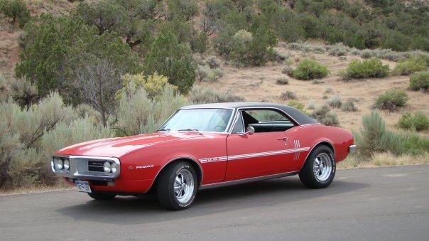 Patrick Bond's album, My Firebird