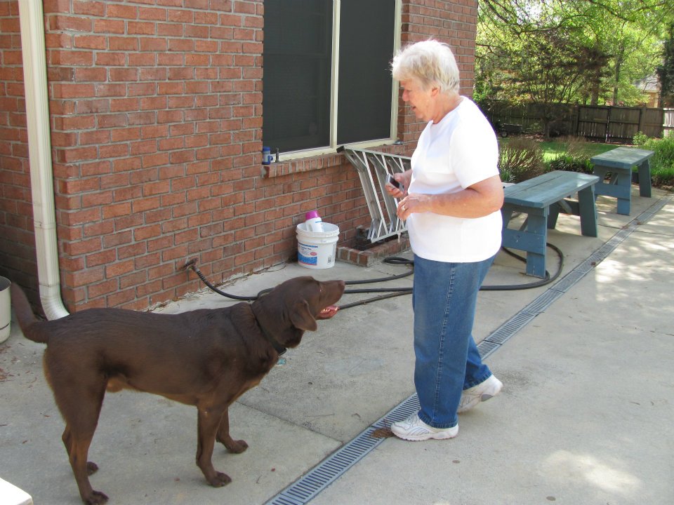 Carol Roberts' album, Warner Robins March 2012