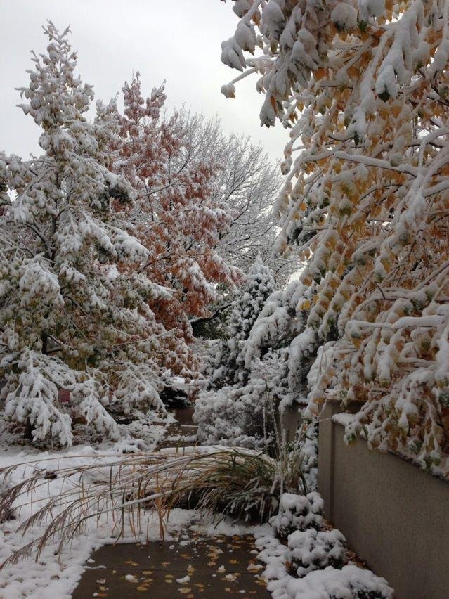 Lynn Plummer's album, iOS Photos