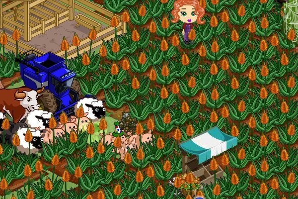 Lark Mathis' album, FarmVille Photos