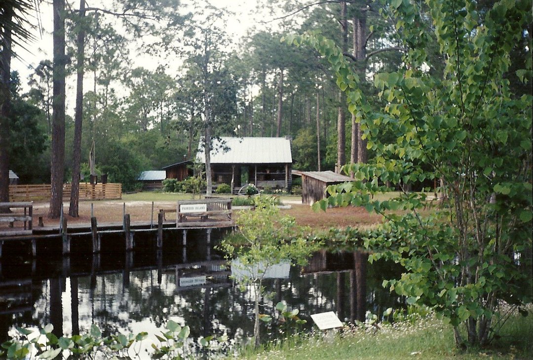 Karla Denney's album, Okefenokee Swamp 2000
