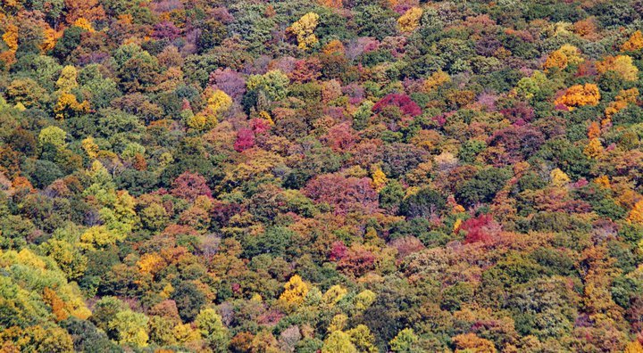 John Turner's album, 2010-10 Blue Ridge Pkwy