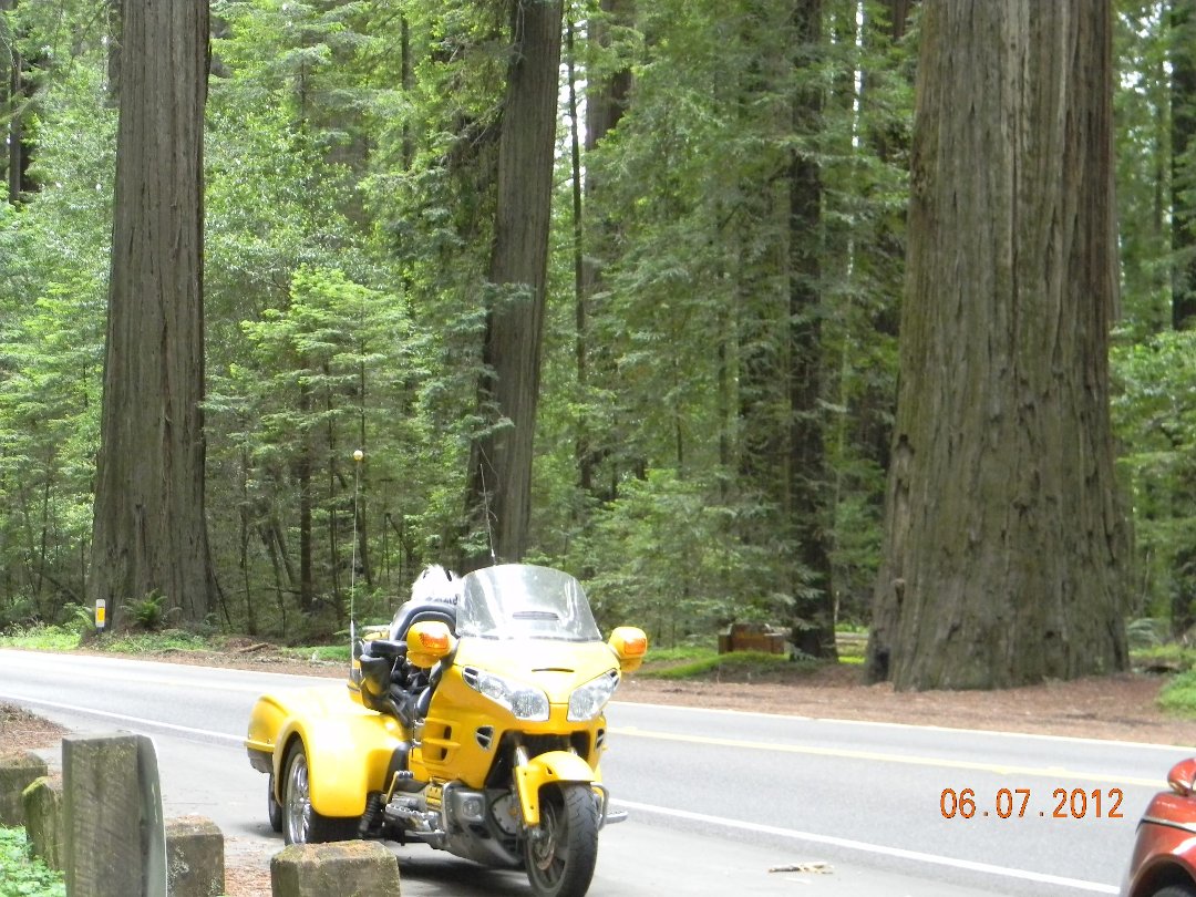 Alberta Chase's album, trip to pacific coast