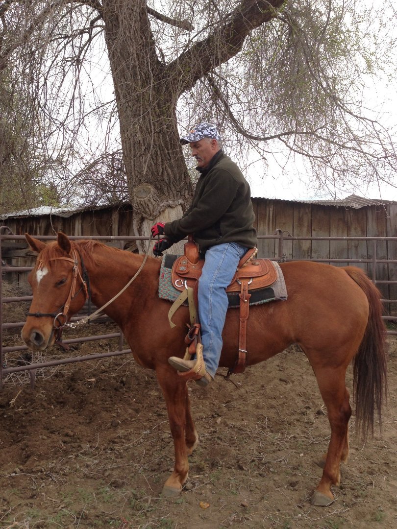 Brad Beckley's album, Mobile Uploads