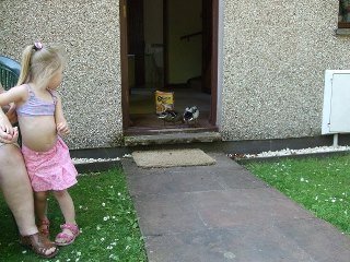 Peggy Helps' album, recent photo`s