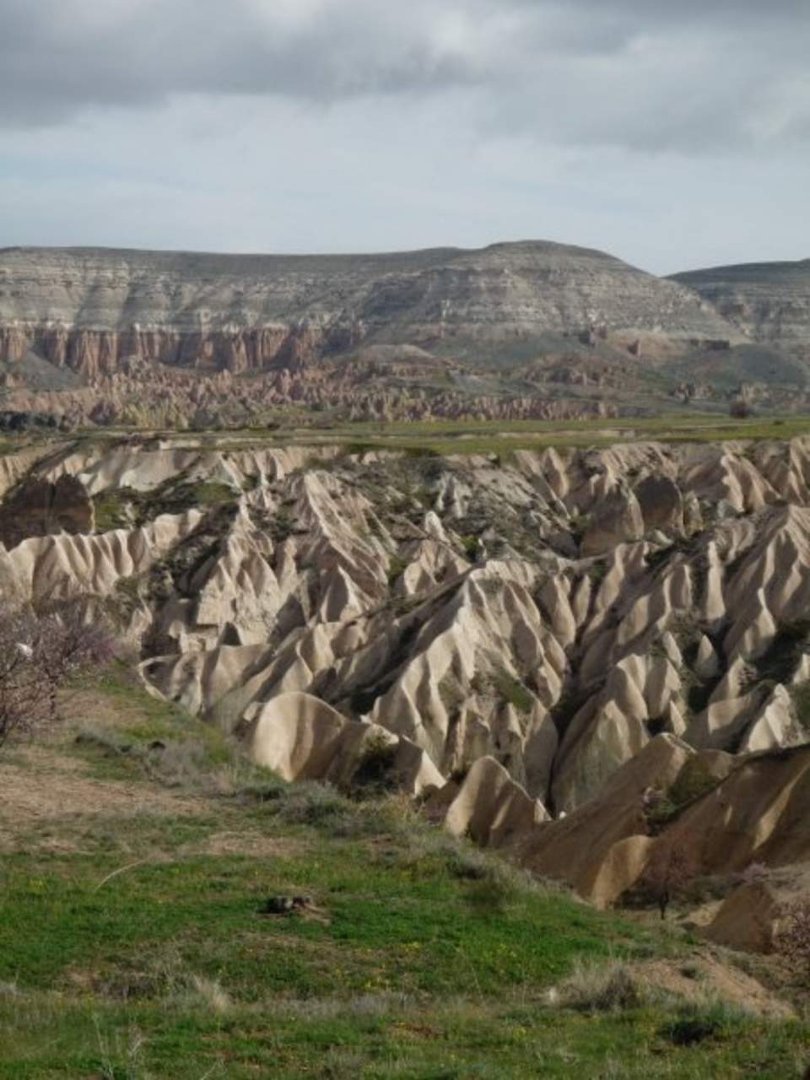 Tracy Cunningham's album, turkey
