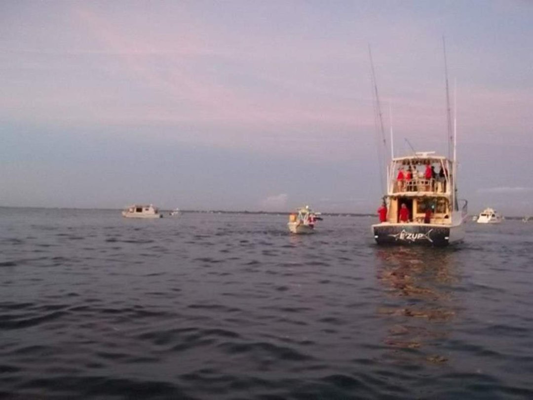 William Schuler's album, Sarasota Christmas Boat Parade 2012/Marina Jack's