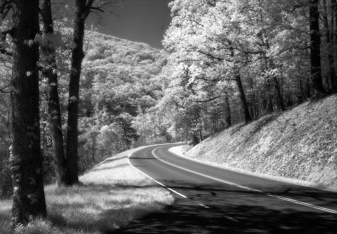 Craig Juleff's album, Some Images